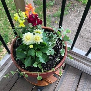 Meet your Posher, Taralee